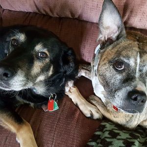 Meet your Posher, Mark